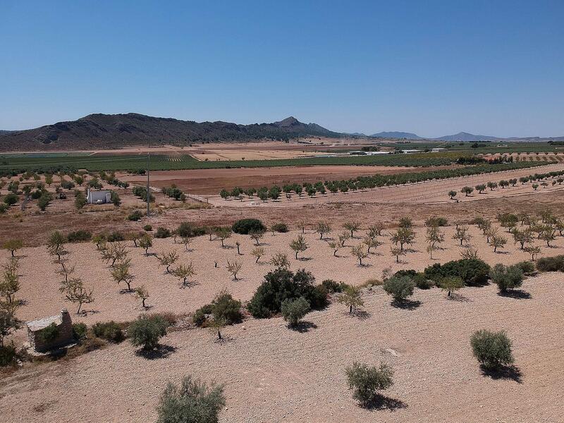 Land Te koop in Caudete, Alicante