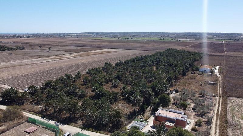 Land for sale in Elx/Elche, Alicante