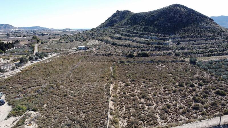 Land for sale in Agost, Alicante