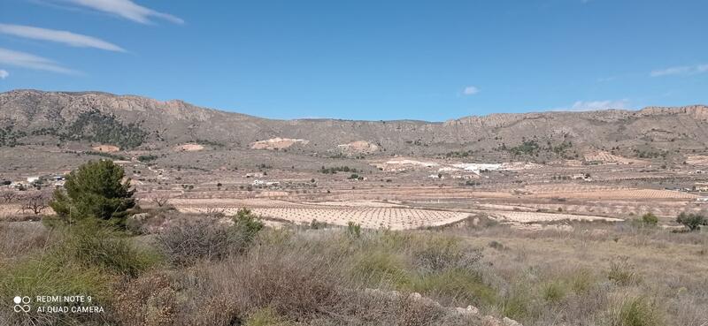 Land for sale in La Romana, Alicante
