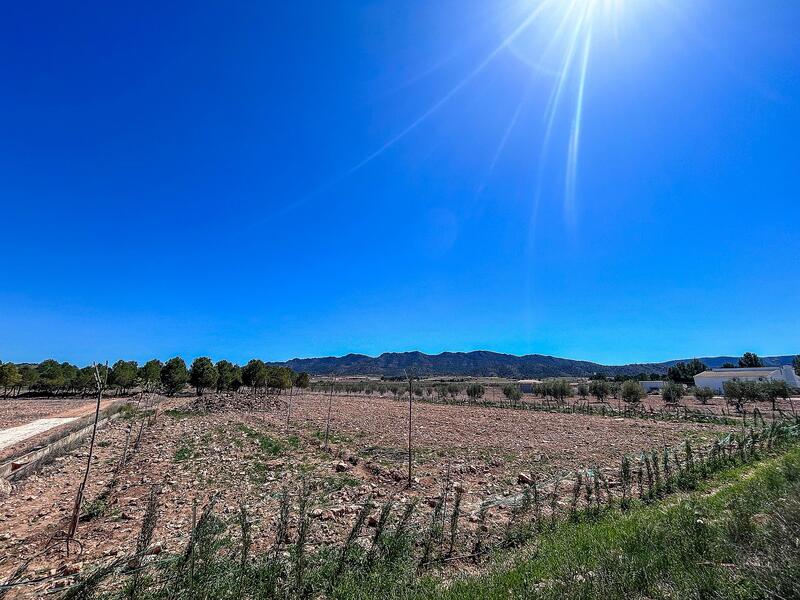 Land Te koop in Yecla, Murcia