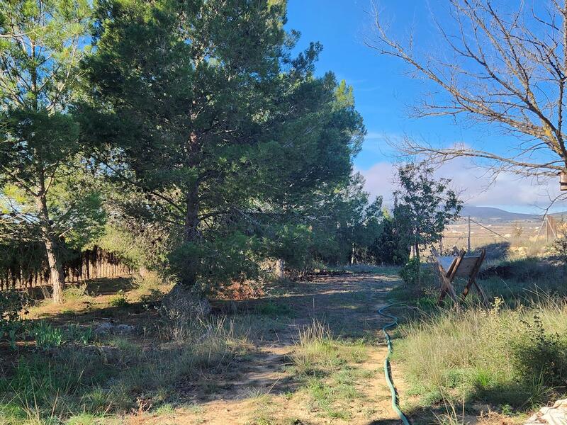 4 chambre Auberge à vendre