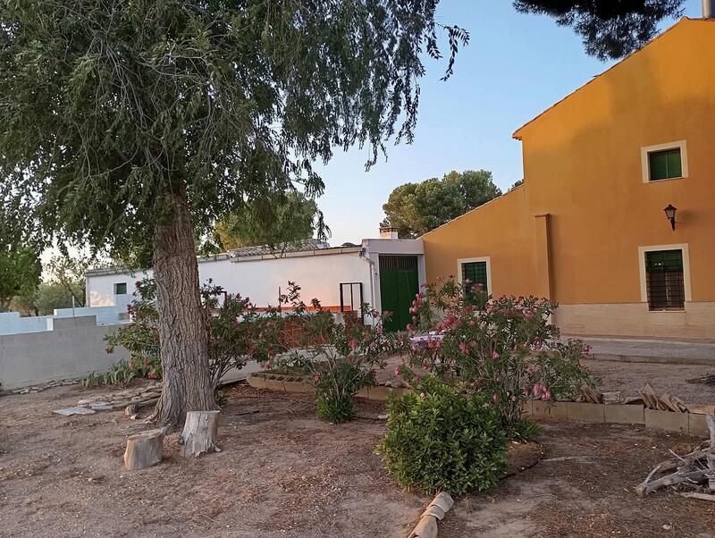 3 Cuarto Casa de Campo en venta