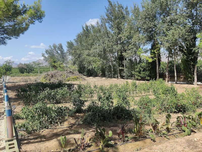3 bedroom Country House for sale