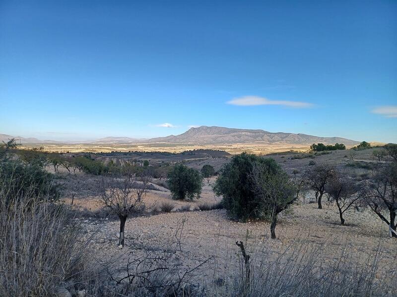 3 Cuarto Casa de Campo en venta