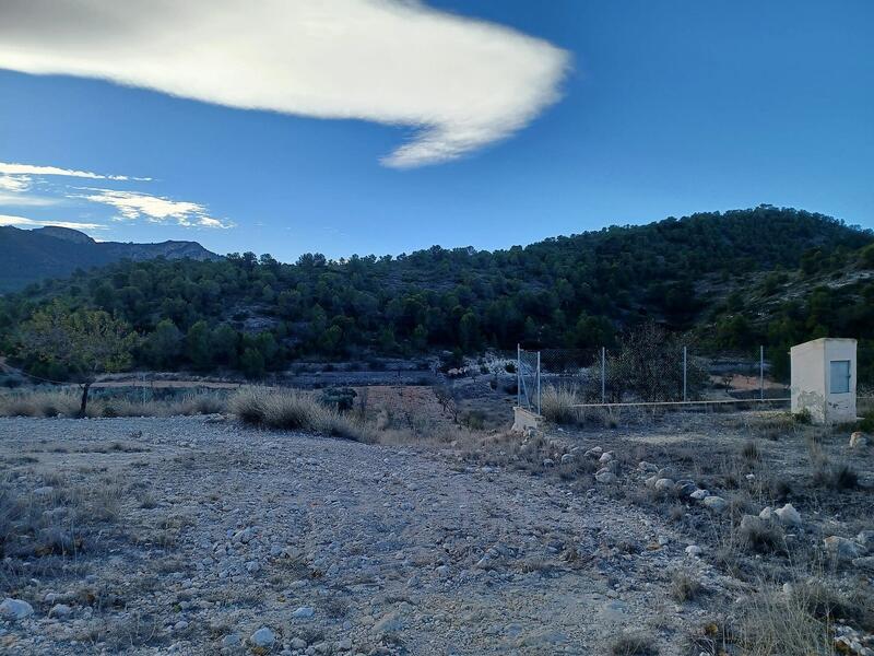 3 Cuarto Casa de Campo en venta