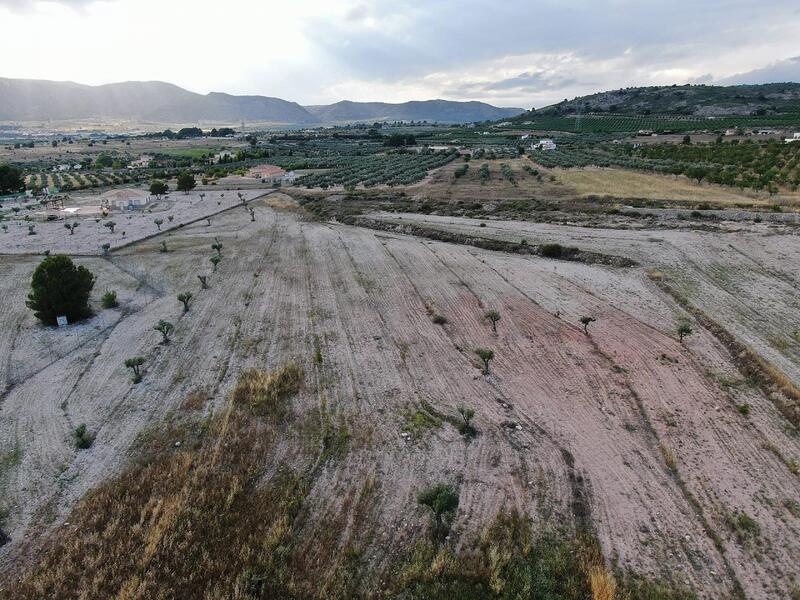 Land for sale in Salinas, Alicante