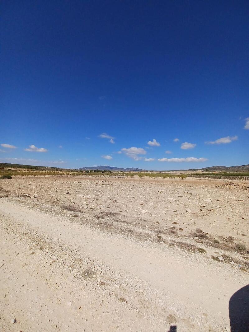 Land Te koop