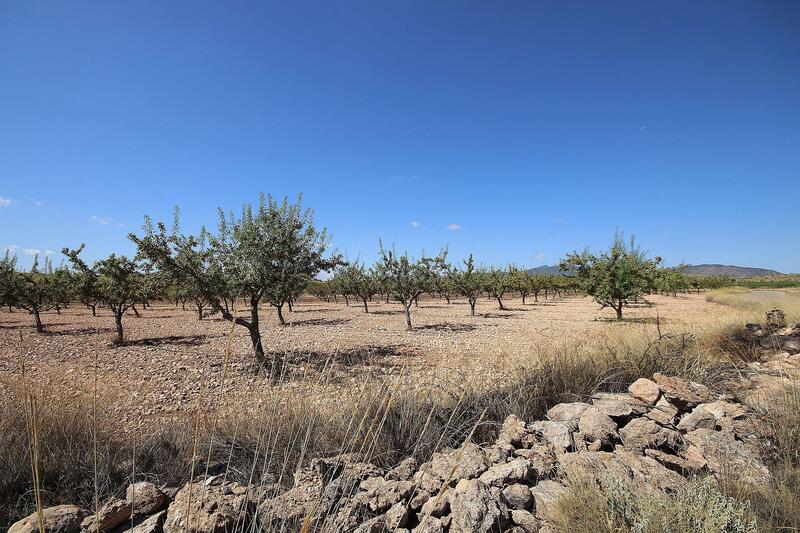 Terrenos en venta