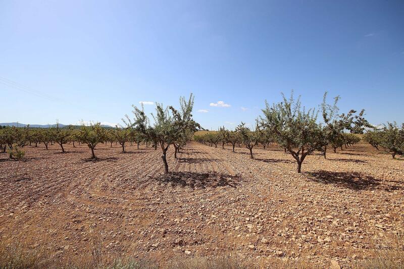 Terrenos en venta
