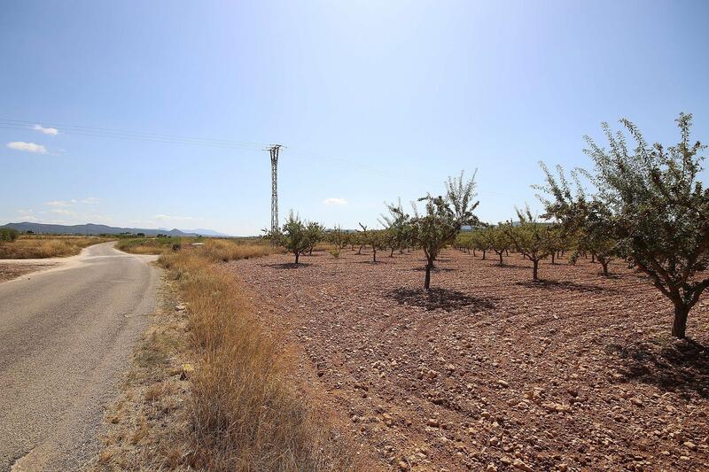 Terrenos en venta