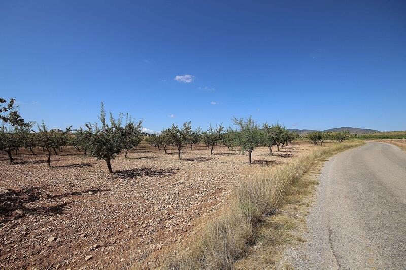 Terrenos en venta