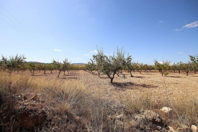 Terrenos en venta