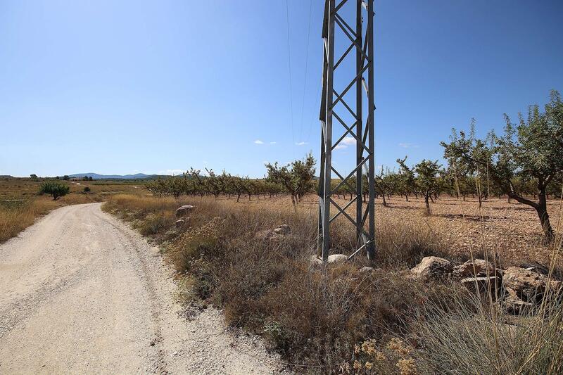 Terrenos en venta