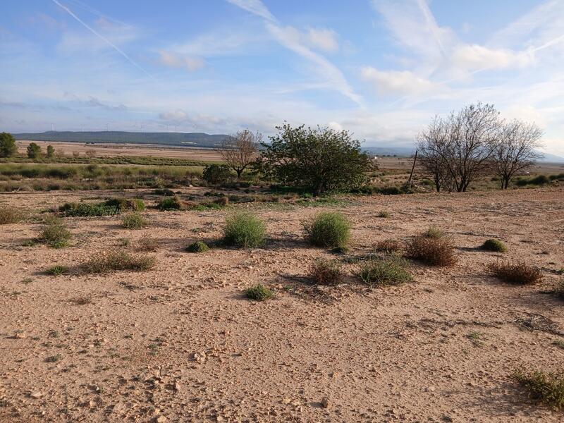 Jord til salg i Yecla, Murcia