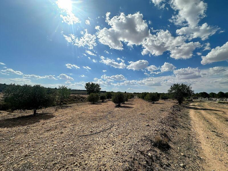 Land for sale