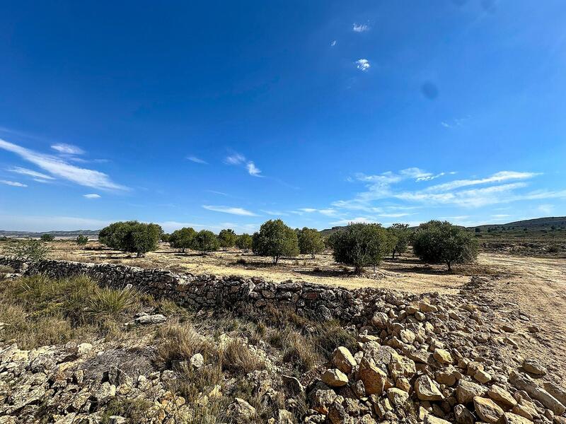 Land for sale