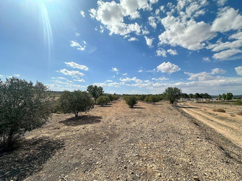 Land for sale