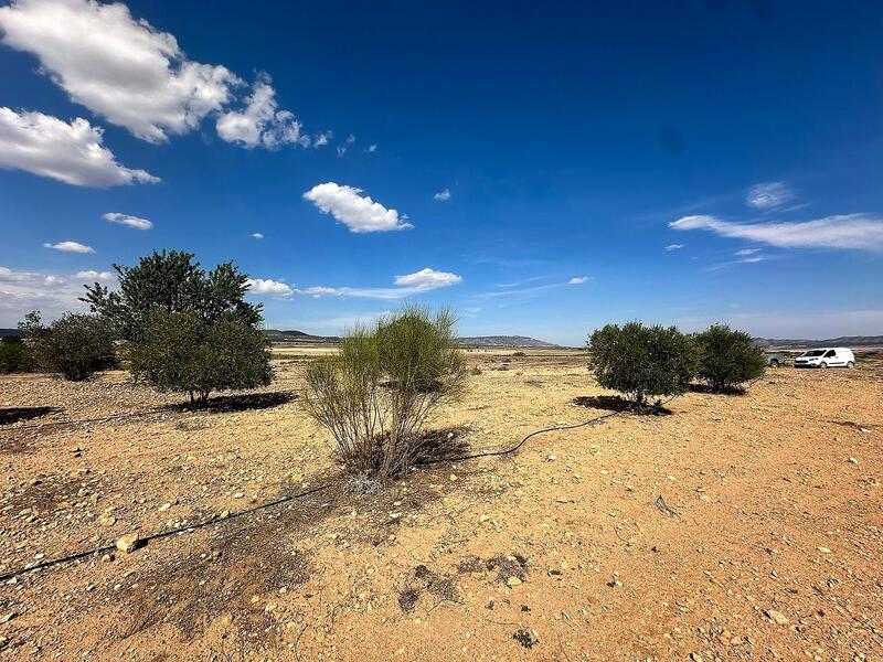 Land for sale