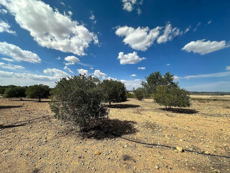 Land for sale