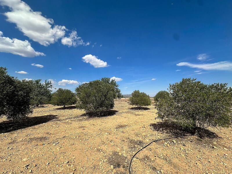 Land for sale