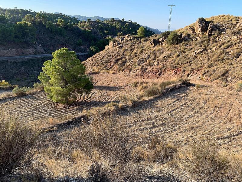 Terrenos en venta en Macisvenda, Murcia