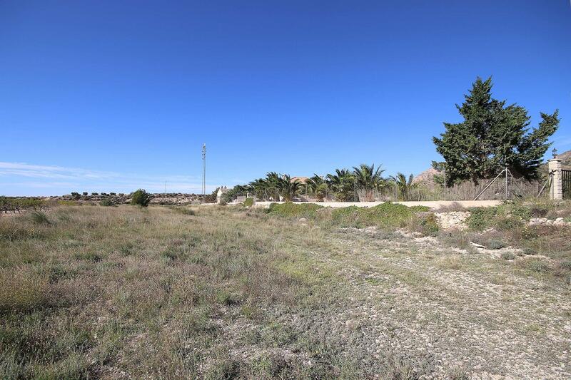 Land for sale