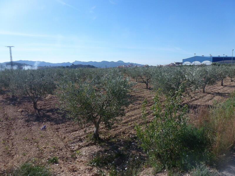 Terrenos en venta