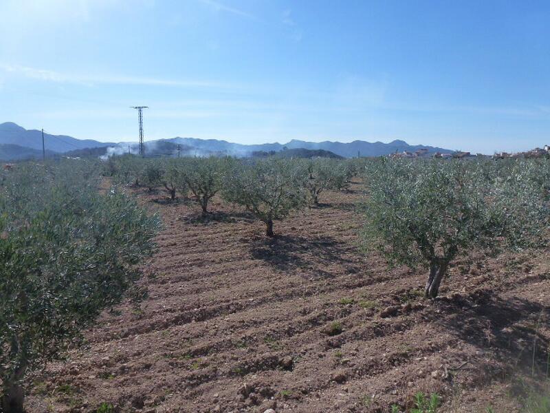 Terrenos en venta
