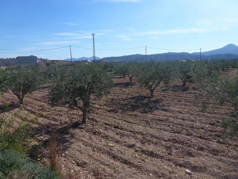 Terrenos en venta