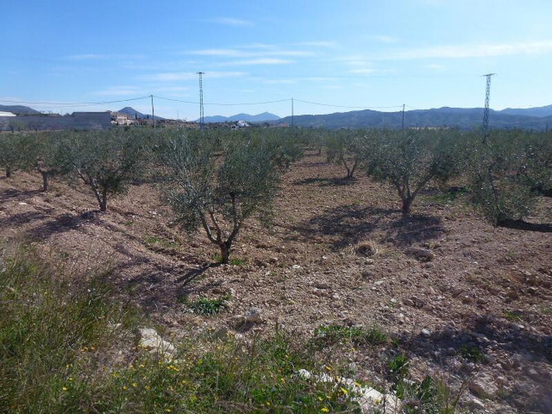 Terrenos en venta