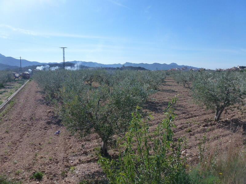 Terrenos en venta