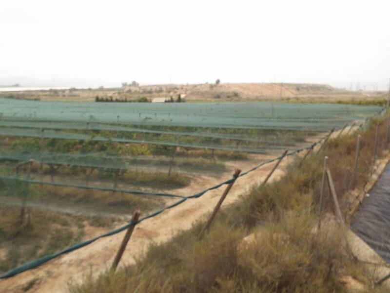Terrenos en venta en Monforte del Cid, Alicante