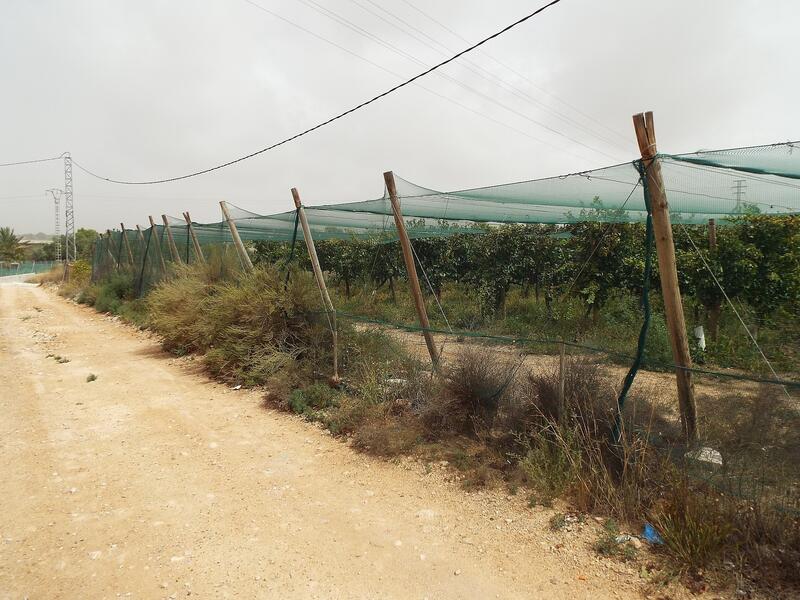 Land for sale