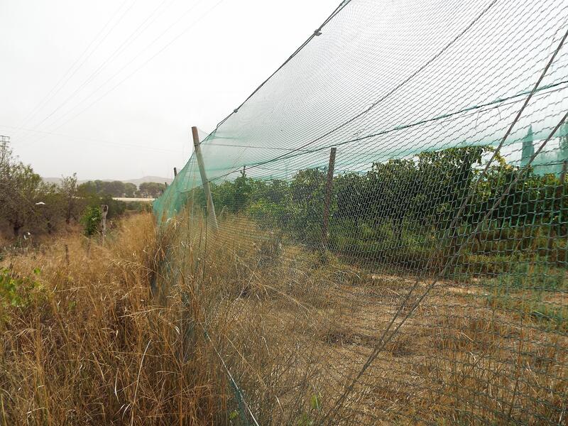 Land for sale