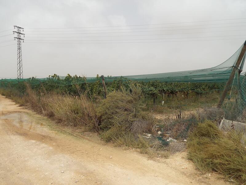 Land for sale