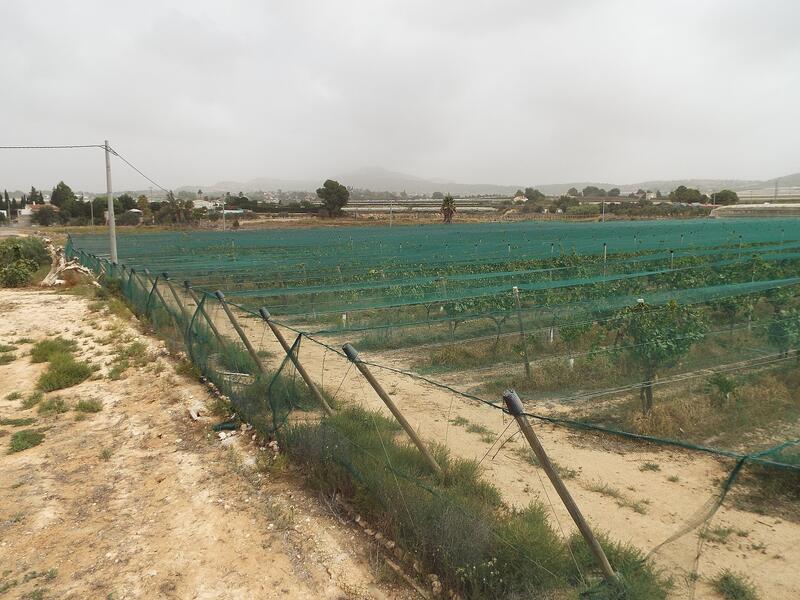 Land for sale