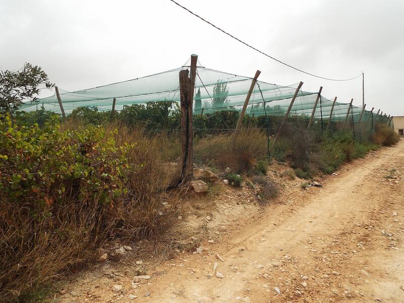 Land for sale