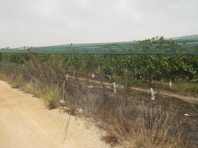 Grundstück zu verkaufen in Monforte del Cid, Alicante