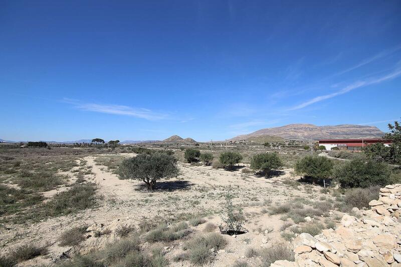 Land for sale