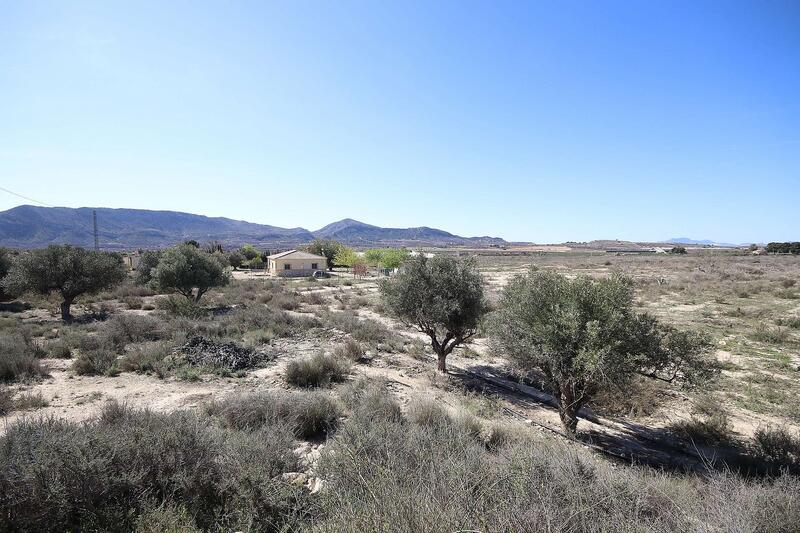 Land for sale