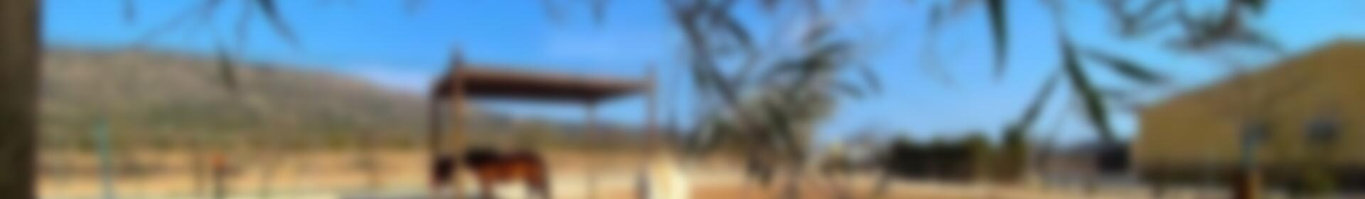 4 Cuarto Casa de Campo en venta