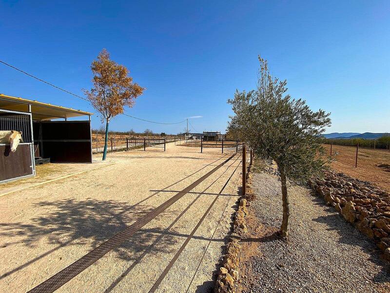 4 Cuarto Casa de Campo en venta