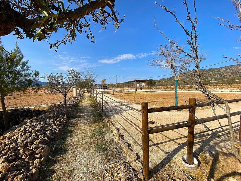 4 Cuarto Casa de Campo en venta