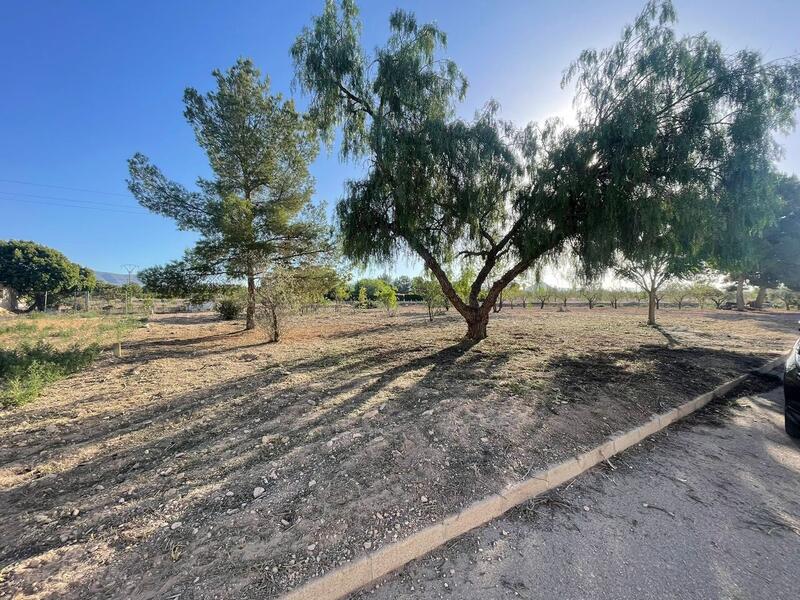 Land for sale