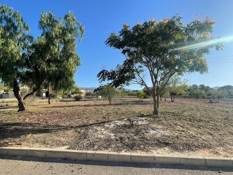 Land for sale