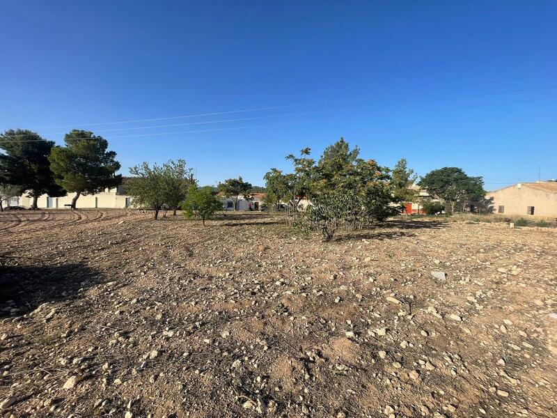 Land for sale