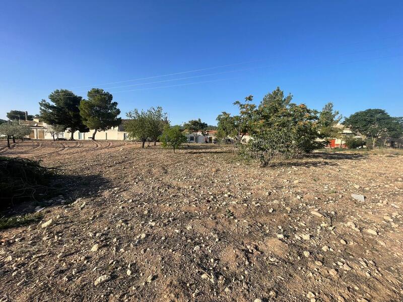 Land for sale