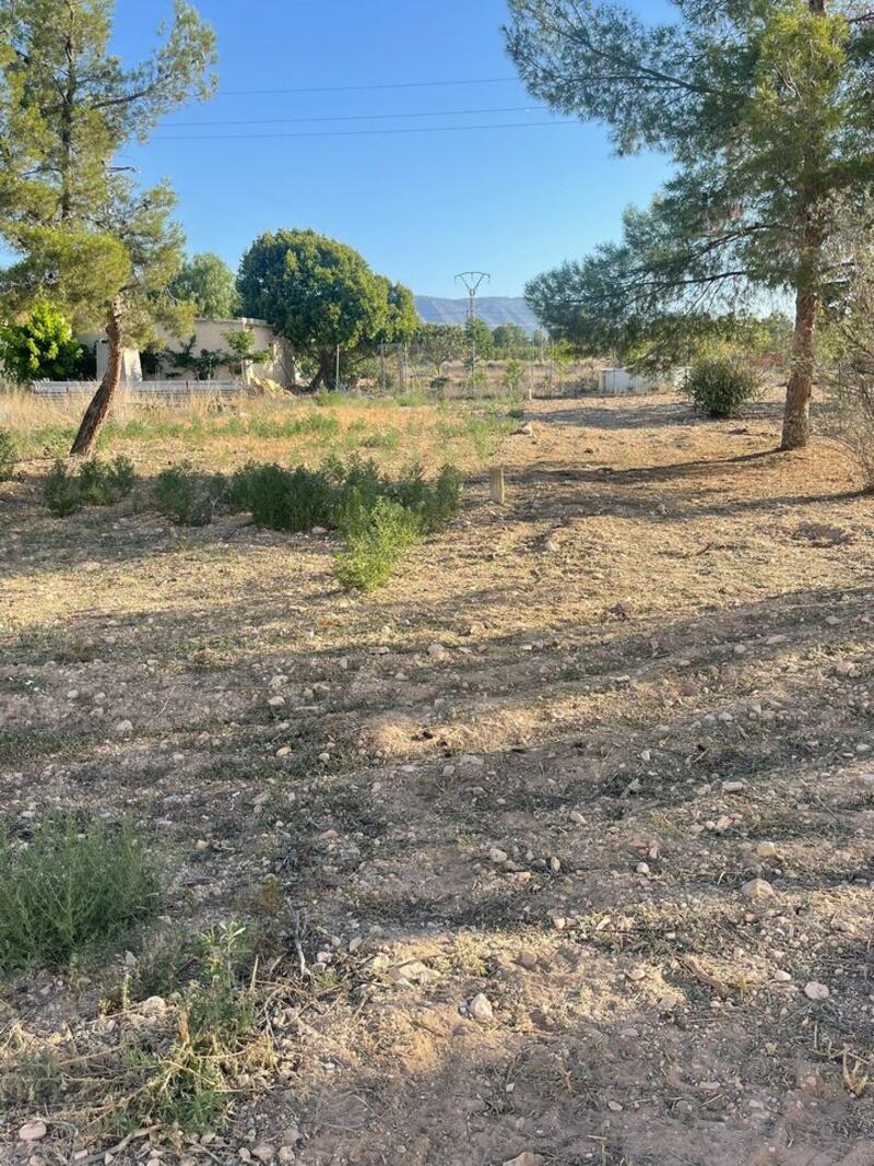 Land for sale