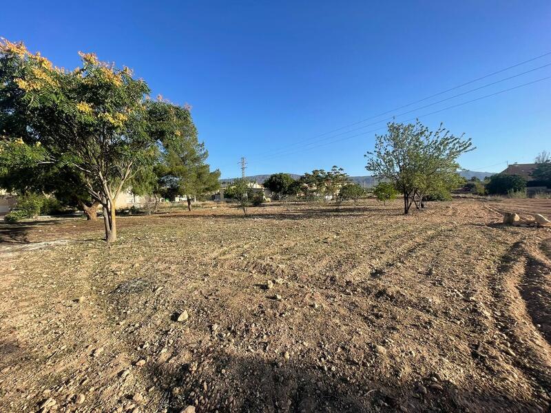Land for sale